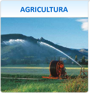 Agricultura